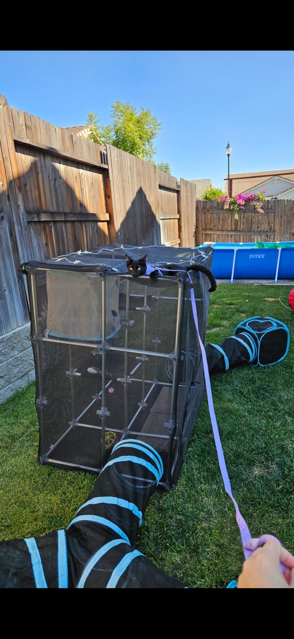 INTURN Catio Outdoor Cat Enclosure, Mega Kit for Outdoor and Indoor(Mega Kit) customer photo 2