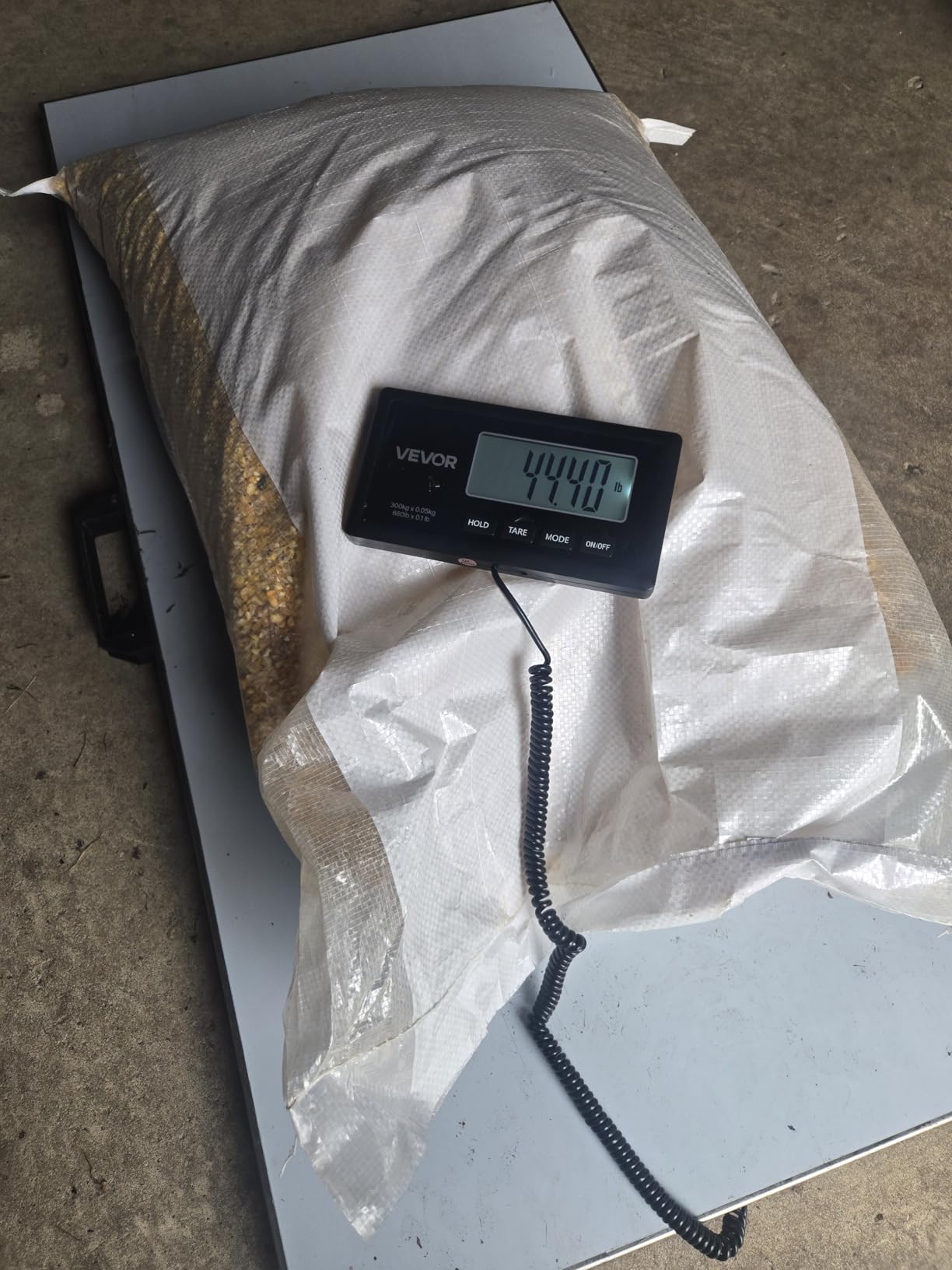 VEVOR 880Lbs x 0.2Lbs Livestock Scale Shipping Scales Large Platform 40.6x20.9Inch Stainless Steel Vet Scale Industrial Floor Scale Large Animal Dog Pig Scale Goat Weight Scale Pet Digital Scale customer photo 2