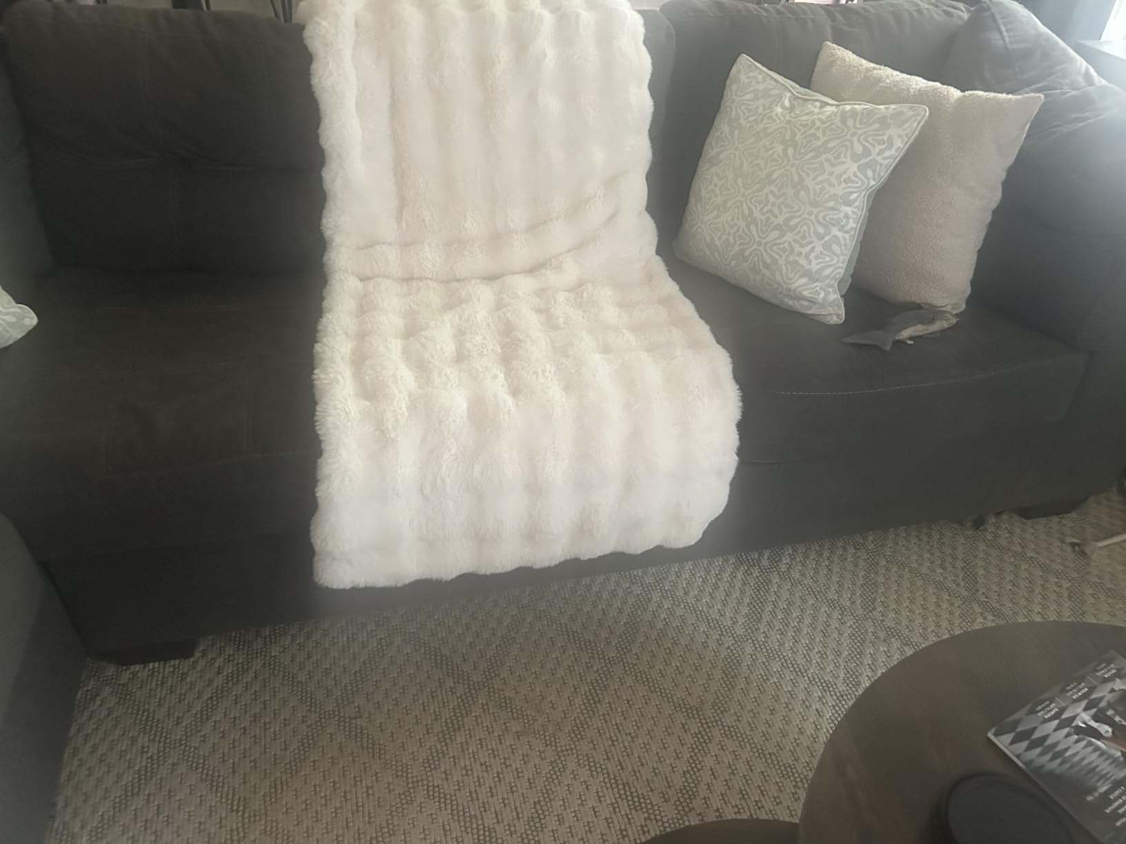 Ultra Soft Cozy Faux Fur Throw Blanket, Fuzzy Plush Thick Bubble Blanket, Luxury Fluffy Blanket for Couch, Sofa, Bedroom, and Living Room, 50x60 Inches, Cream White customer photo 1