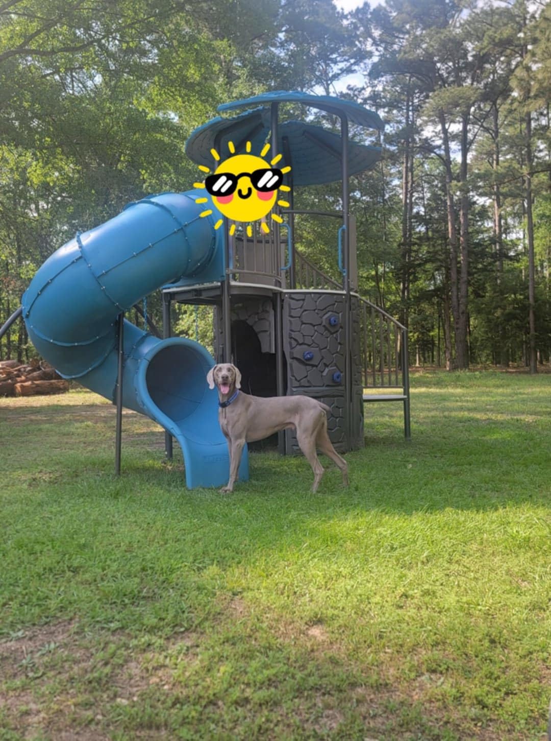 Lifetime Adventure Castle Swing Set Playset with Tube Slide customer photo 2