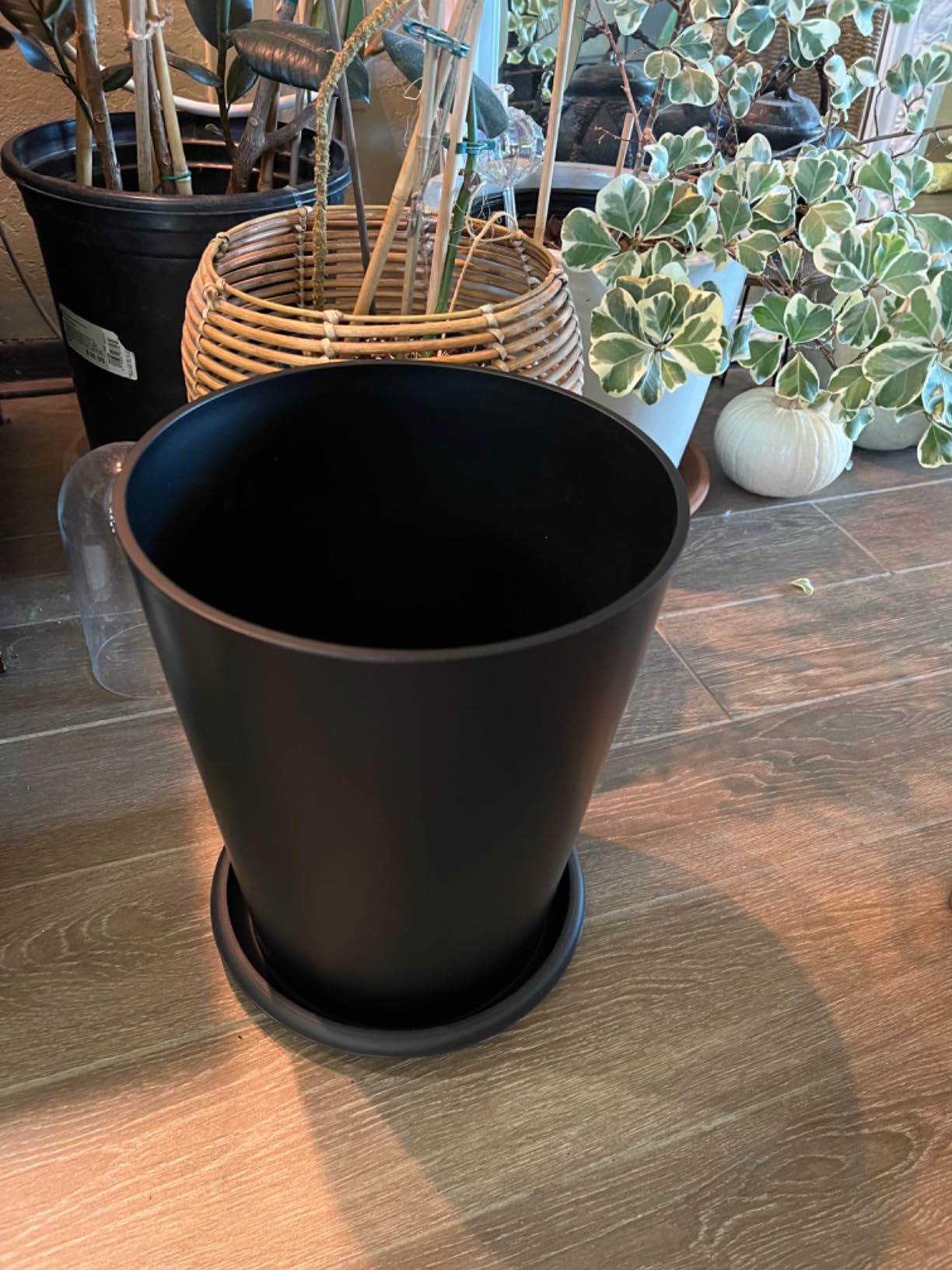 SnugNiture Set of 2 Round Tall Planters 22 Inch, Large Planter for Indoor Outdoor Plants, Modern Flower Pot Containers Large Decorative Tree Planter, Black customer photo 2
