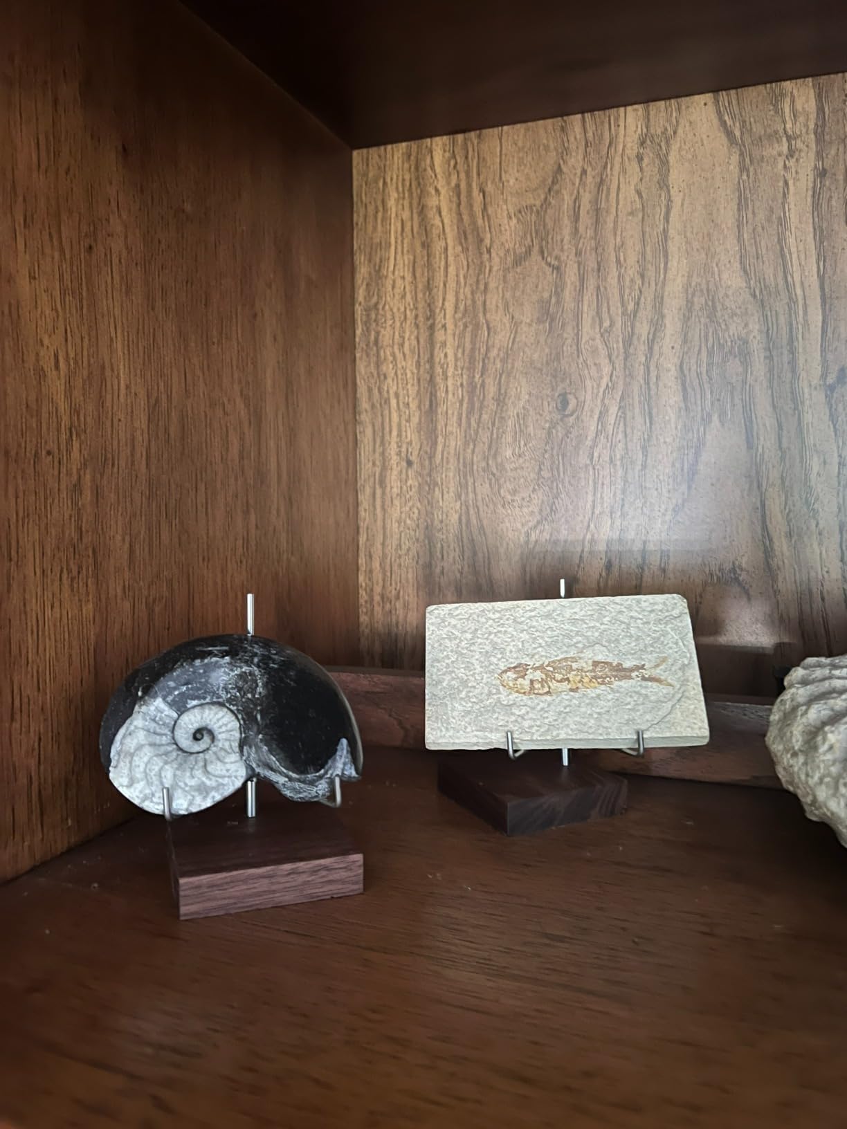 Wenqik 4 Pcs Crystal Display Stand Rock Display Stand Adjustable Metal Arms with Wooden Base Geodes Rock Agate Mineral Easel Holder for Collectibles (1.97 x 1.97 x 3.15 Inch, Silver) customer photo 1
