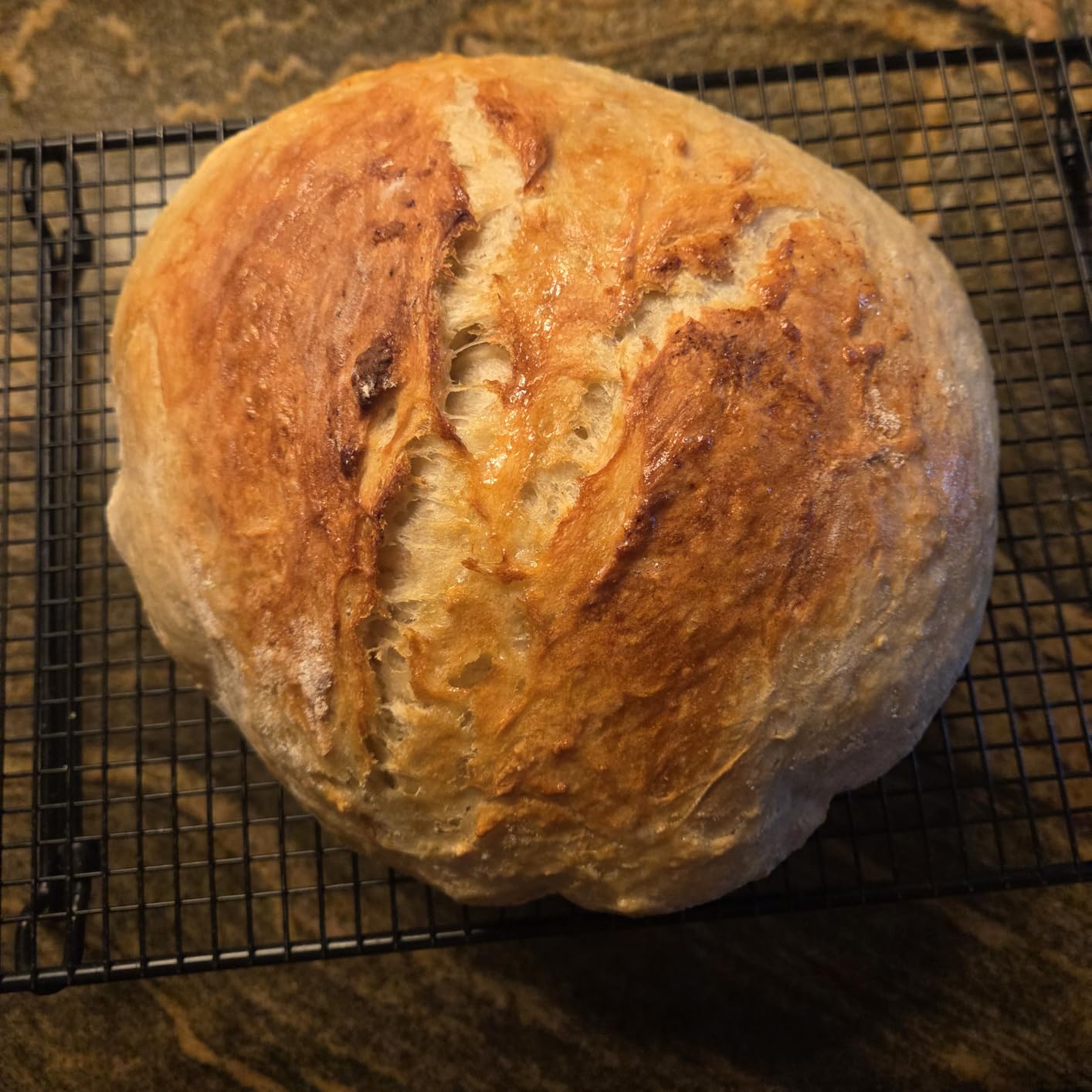 Folding Bread Proofing Box with 50-113F Temp Control & 48H Timer, Dough Proofer with Metal Rack customer photo 2