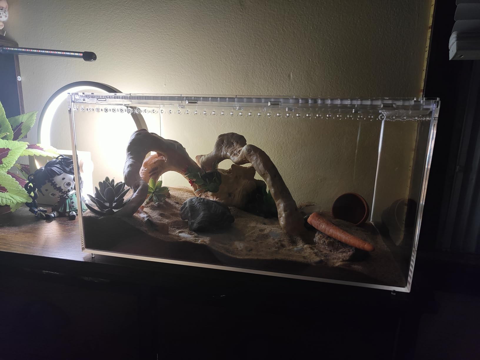Reptile PC Tank, Escape Proof Magnetic Lid Tarantula Enclosure Large | Easy Clean Seamless Base Hermit Crab Habitat, Stackable Isopod Terrarium, Cross Ventilation Spider Starter Cage, Frog Container customer photo 1