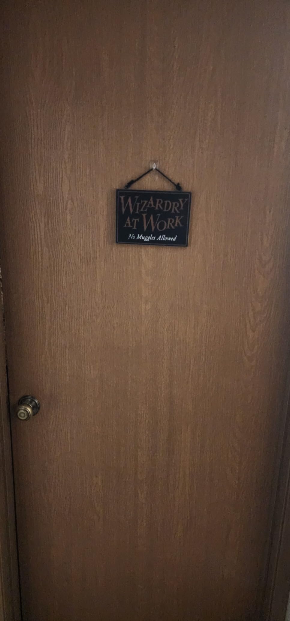 Harry Potter Hogwarts Visitors Welcome Hanging Wood Wall Decor | Vintage Hogwarts School of Witchcraft and Wizardry Sign for Home customer photo 1