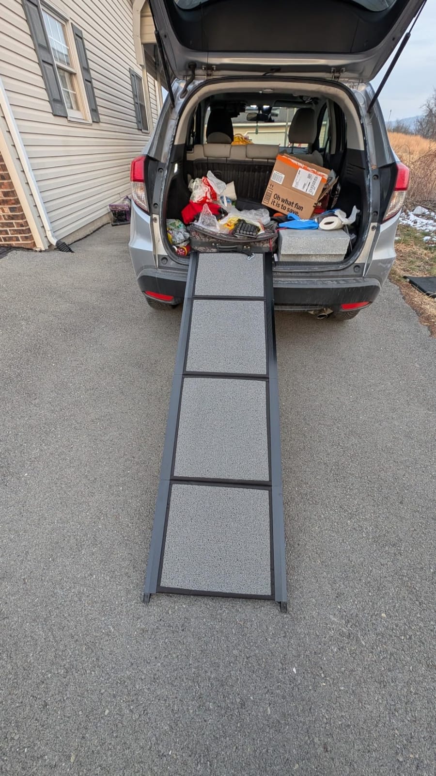 Dog Ramp for Car 71