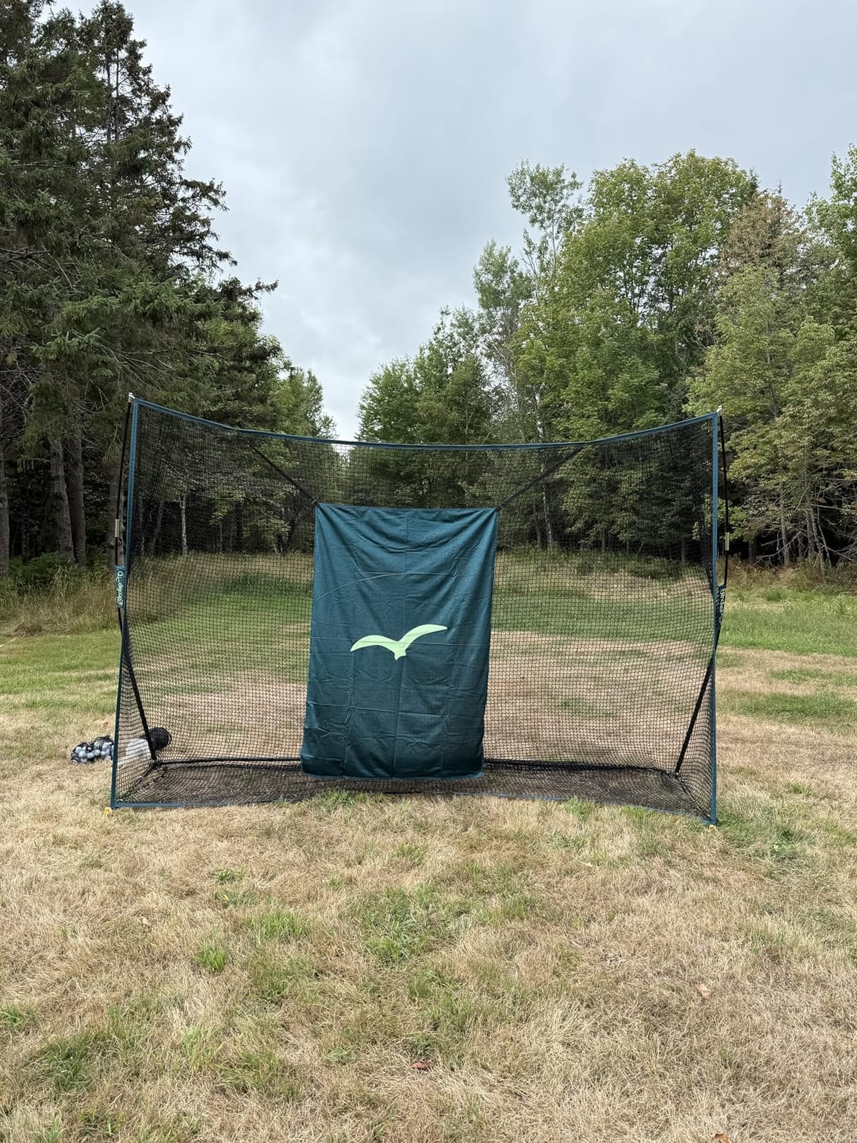 BirdiePro American Pro Golf Practice Net, 10x7ft Heavy Duty Golf Hitting Net with EchoShield Target & FlexWeave Net, Indoor Outdoor Training Backyard, Full Set with Mat, Balls & Cap customer photo 2