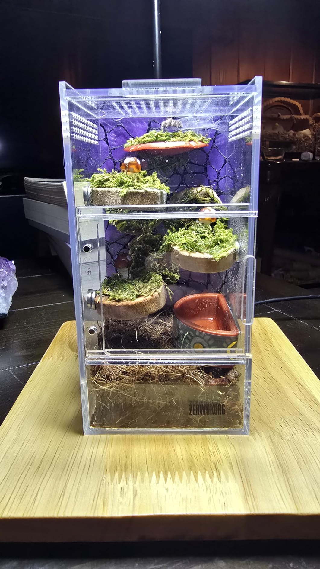 Jumping Spider Enclosure - Acrylic Terrarium Habitat for Spiders, Tarantulas, Snail, Mantis, Lizard, and Small Reptiles, Dual Magnetic Doors (6x6x9 inch) customer photo 1