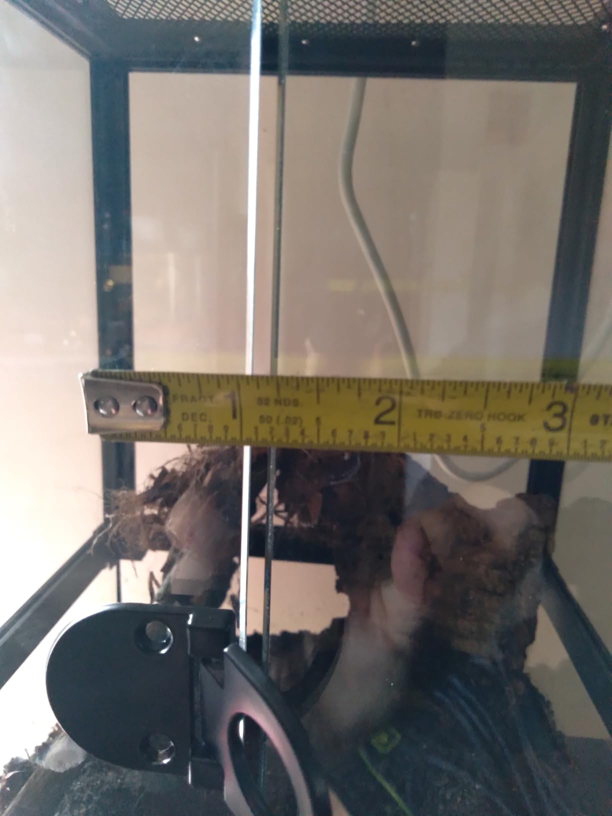 24x18x18'' Front-Opening Glass Reptile Tank for Gecko & Snake - Watertight base & metal mesh top; front-opening for easy feeding; pre-drilled cable holes. Fits tree frogs & chameleons. customer photo 2