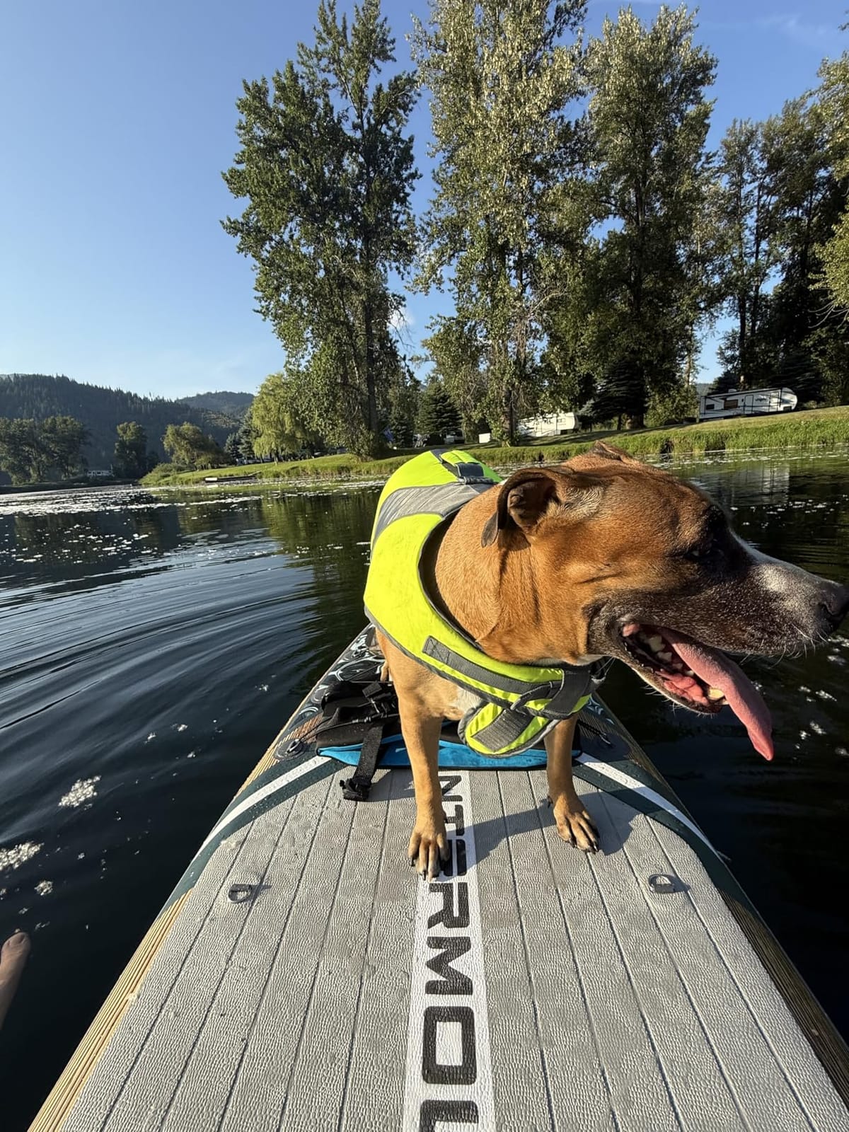 11'x34 Ultra Wide Inflatable Paddle Board, Stand Up Paddle Board &420lb Capacity for All Skill, Paddle Board for Yoga/Family, EVA Deck, US Fin, 100L Bag, High-Pressure Pump, Safety Leash customer photo 1