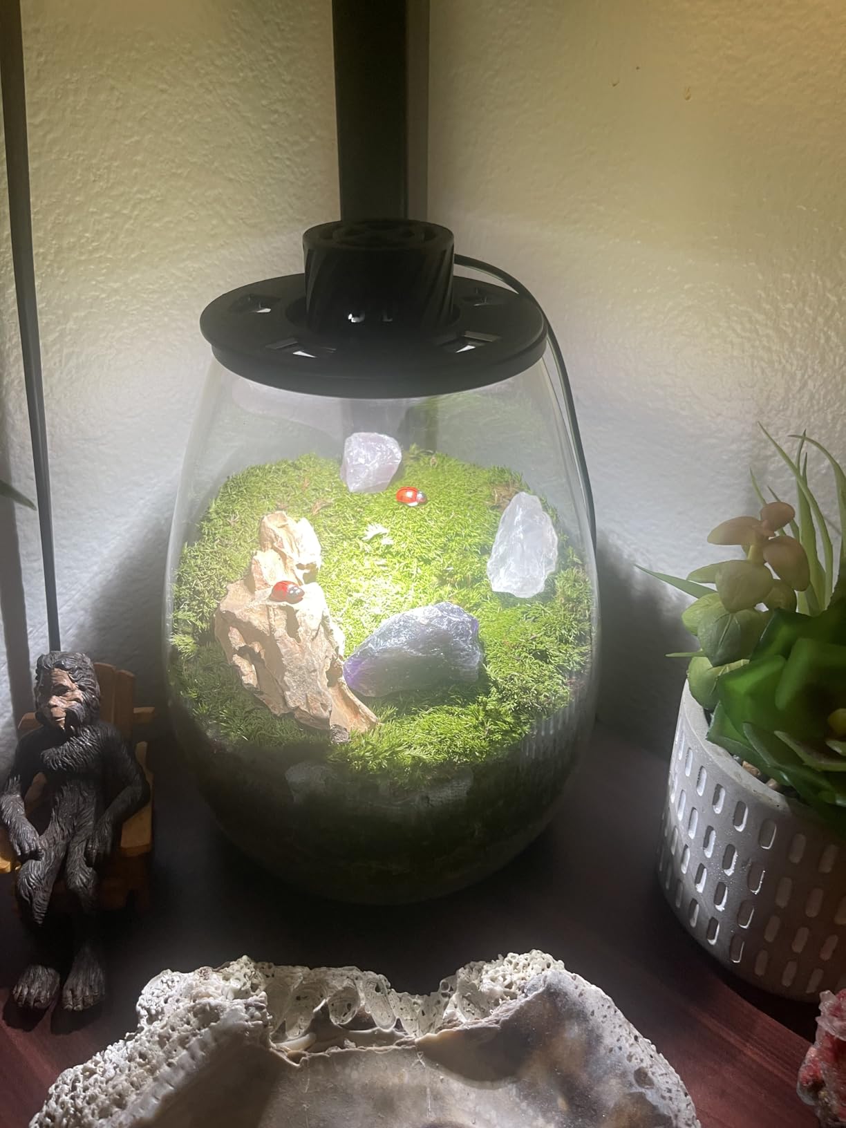 DIY Crystal Terrarium Kit - 21-Pieces All-In-One Starter Kit with Preserved Moss, Pumice, Crystals, Coconut Coir, Tools & Decor | Healing Gift for relaxing | Plants Lovers | Home & Desk Decor customer photo 2