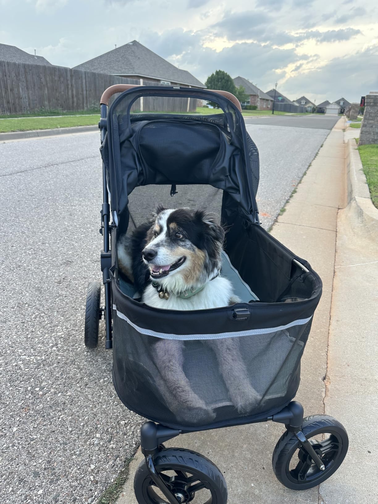 Zoosky Pet Stroller for Large Dogs up to 110lbs, Large Pet Stroller for Multiple Pets, All-Terrain with Adjustable Handle & Mesh Dual-Window, 1680D Waterproof Oxford Fiber customer photo 1