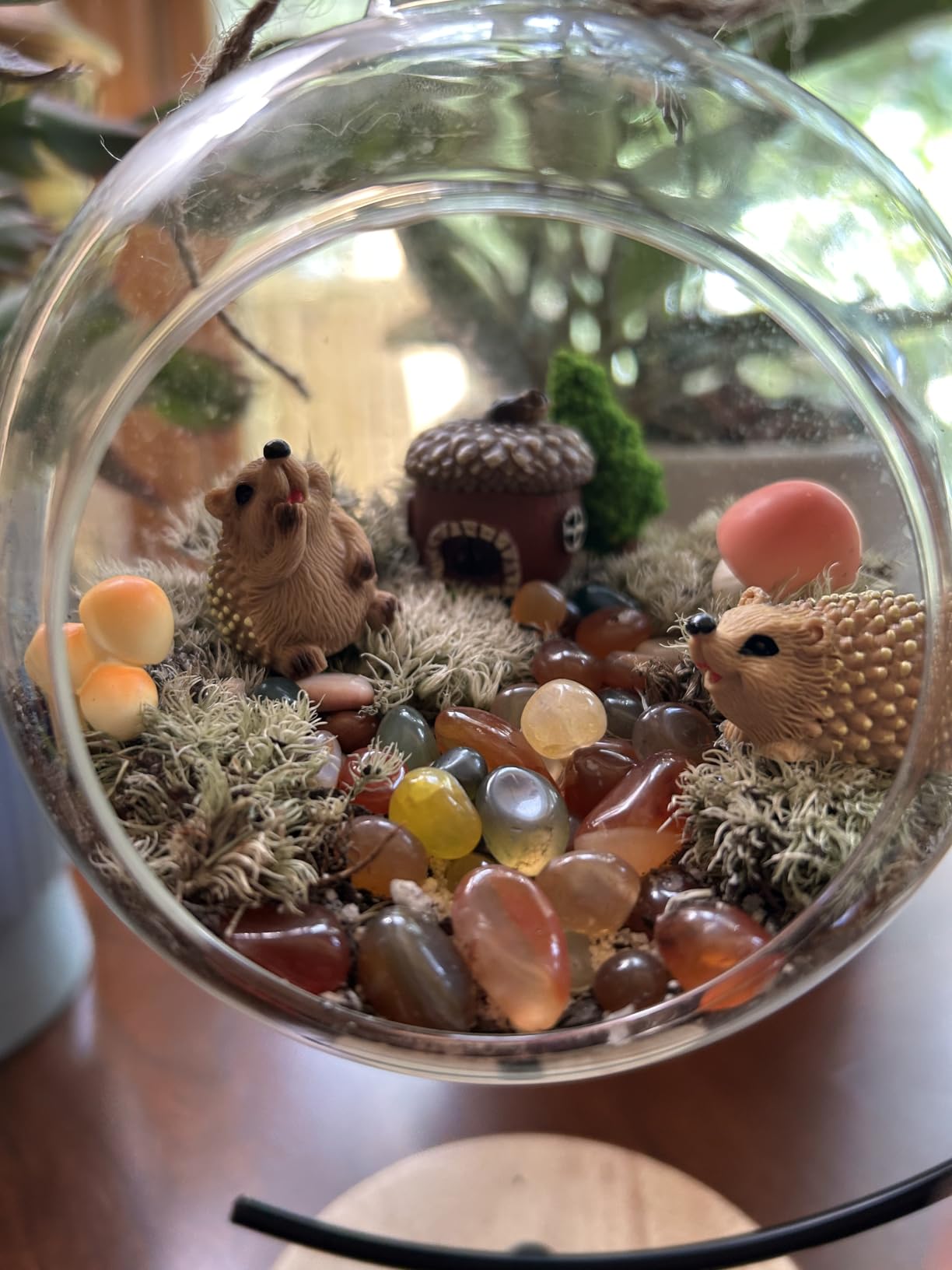 LuckyRunes DIY Terrarium Kit with Live Moss, 15-Piece Glass Globe Set | Complete DIY Experience, Beginner Friendly, Wooden Display Stand, Gift-Ready Set, Indoor Nature Decor, Easy Assembly customer photo 1
