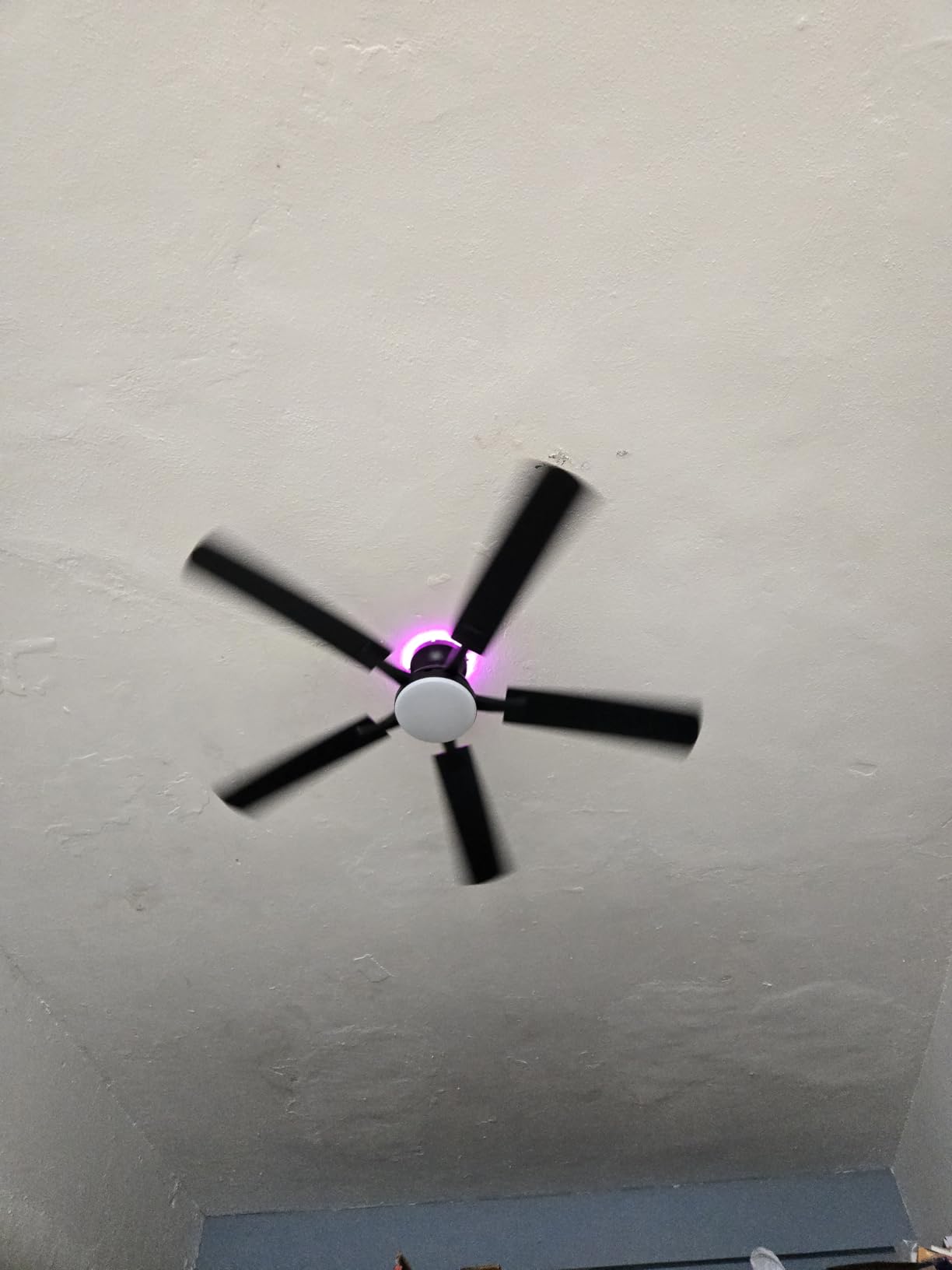 ZMISHIBO 52 Inch Smart Ceiling Fan with RGB Light, Alexa/App/Remote Control | 3000-6000K Dimmable LED, Google Control, WiFi, Low Profile Flush Mount, Reversible Motor, Modern Black for Bedroom/Game Room customer photo 1