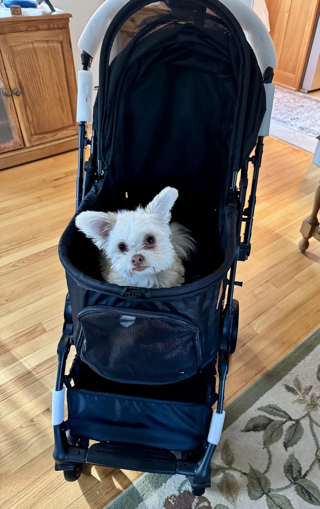 Bicystar Foldable Dog Stroller for Small Medium Dogs & Cats, 45 lbs, Grey | For senior & injured pets, Travel-friendly, All-terrain 4 wheels, Aluminum frame, 42