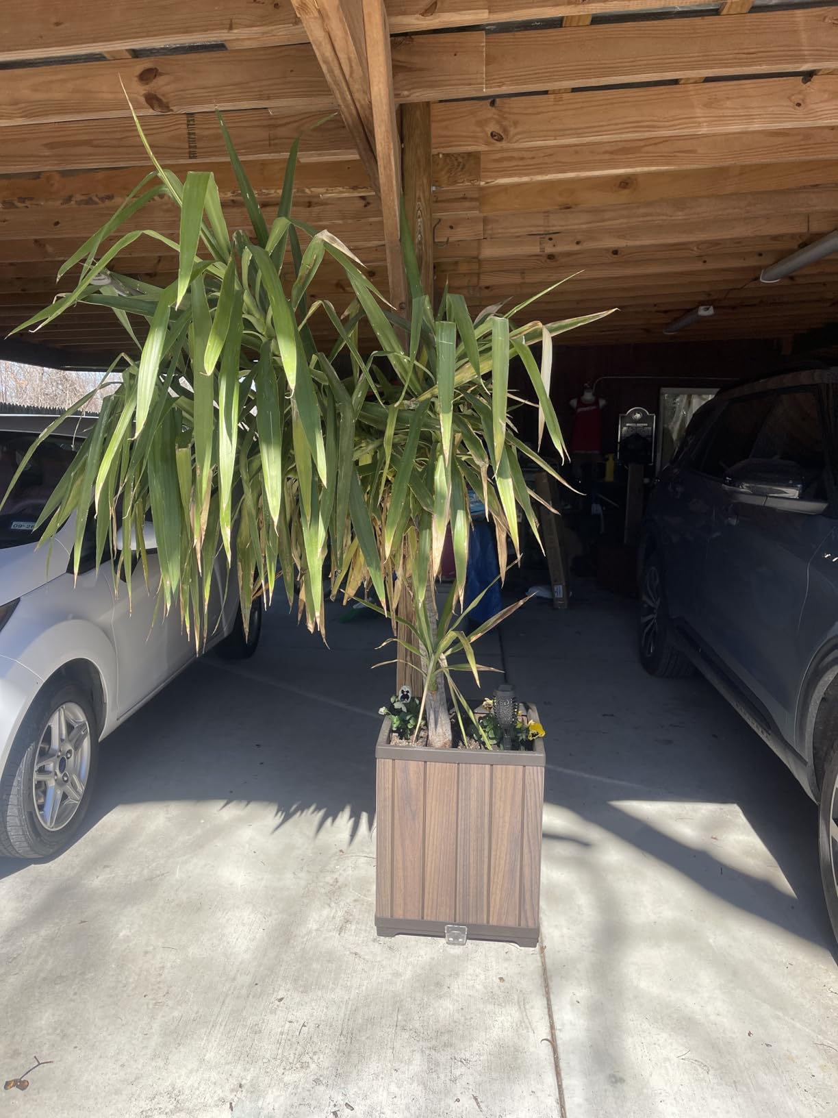 Keter Signature 21.6 Inch Tall Square Large Wood Look Planter for Indoor or Outdoor Flower Pot Ideal for Patio Deck and Front Porch Decor, Rosewood customer photo 1
