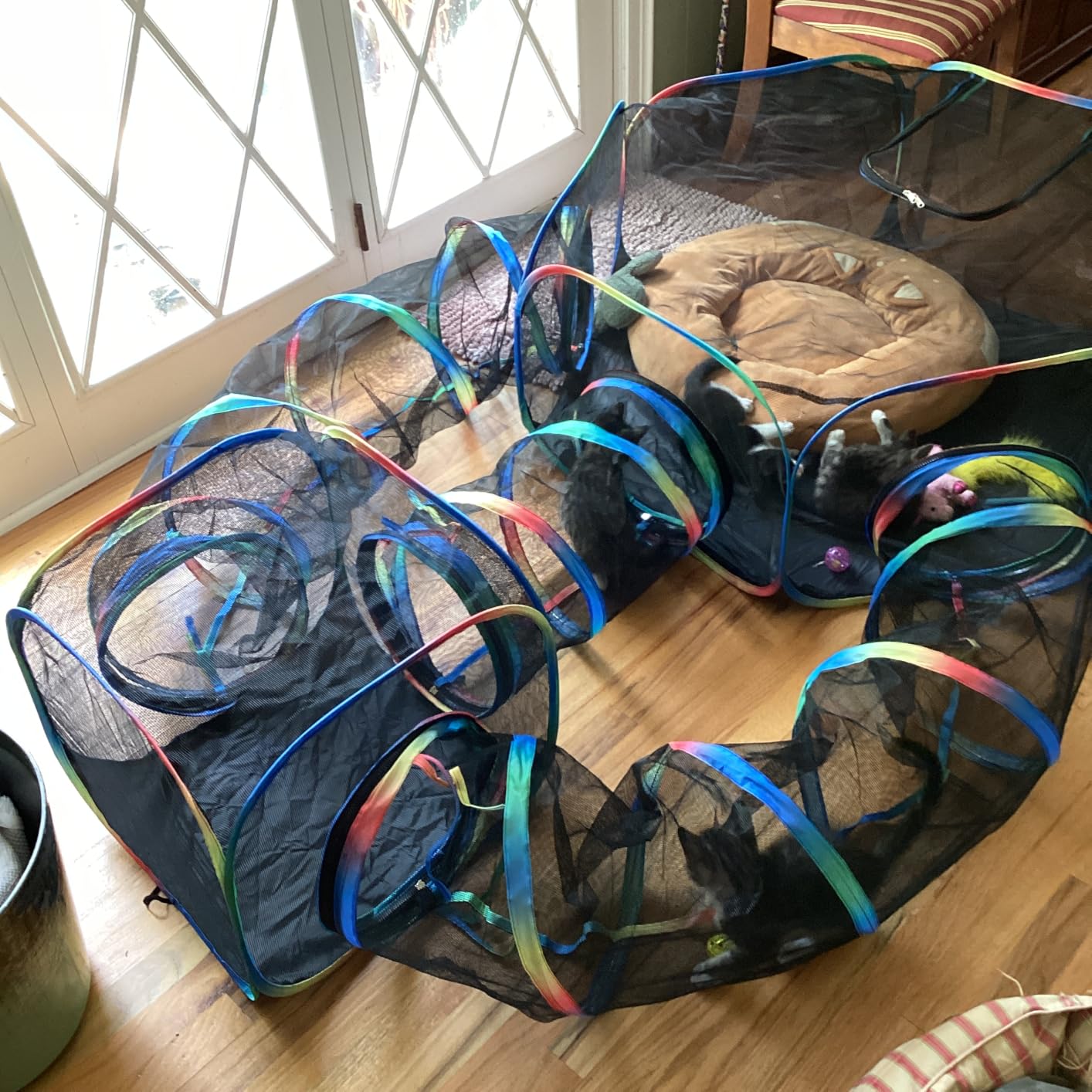 Outdoor Cat Enclosure - 5-in-1 Portable Cat Tunnels with Tent, Cube, Collapsible Catio for Cat Run Outside, Pop up Enclosed Playground for Indoor Cats, Kitty & Small Animals customer photo 1