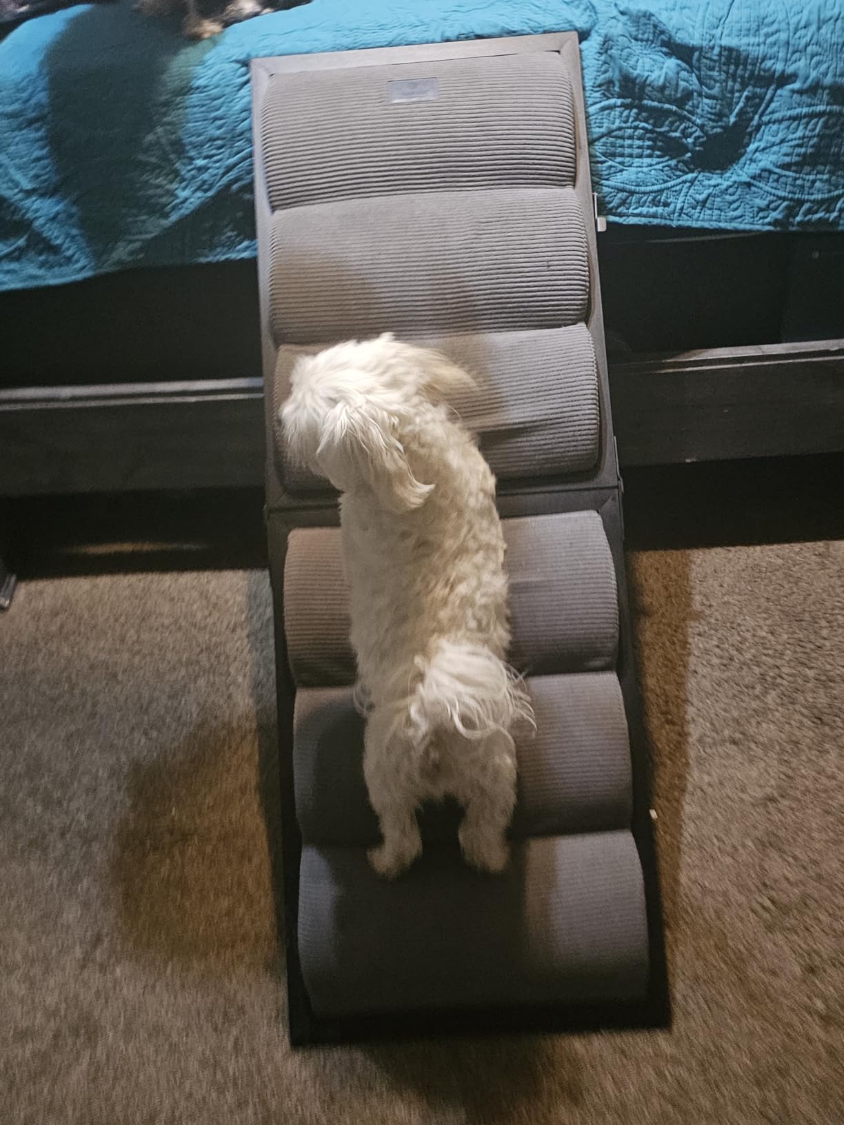 Veehoo Dog Ramp for Bed Couch Height Adjustable from 12