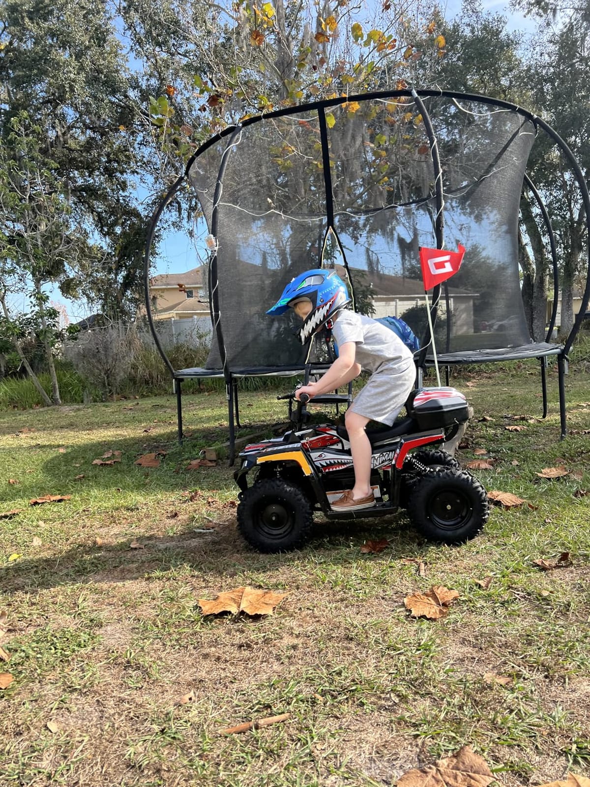 Animal Kids ATV for Ages 6+, 143 lb Capacity, 36V Electric 4 Wheeler with 500W Brushless Motor, LFP Battery, Dual Speed 10-15 MPH, Dual Suspension Disc Brake Quad Bike with Storage Case customer photo 2