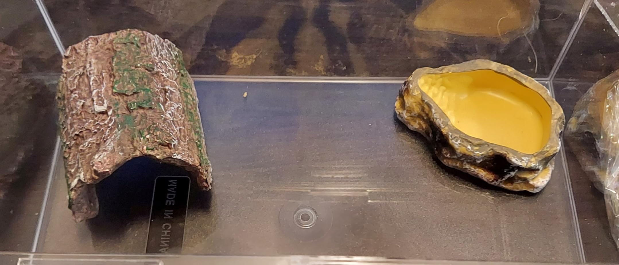 Large Reptile Tank PC Starter Kit, Escape Proof Tarantula Enclosure | Hermit Crab Habitat, Spider Terrarium for Isopods Cage, Insect House, Small Pac-Man Frog Cribs, Bug Container, Beetle Vivarium customer photo 1