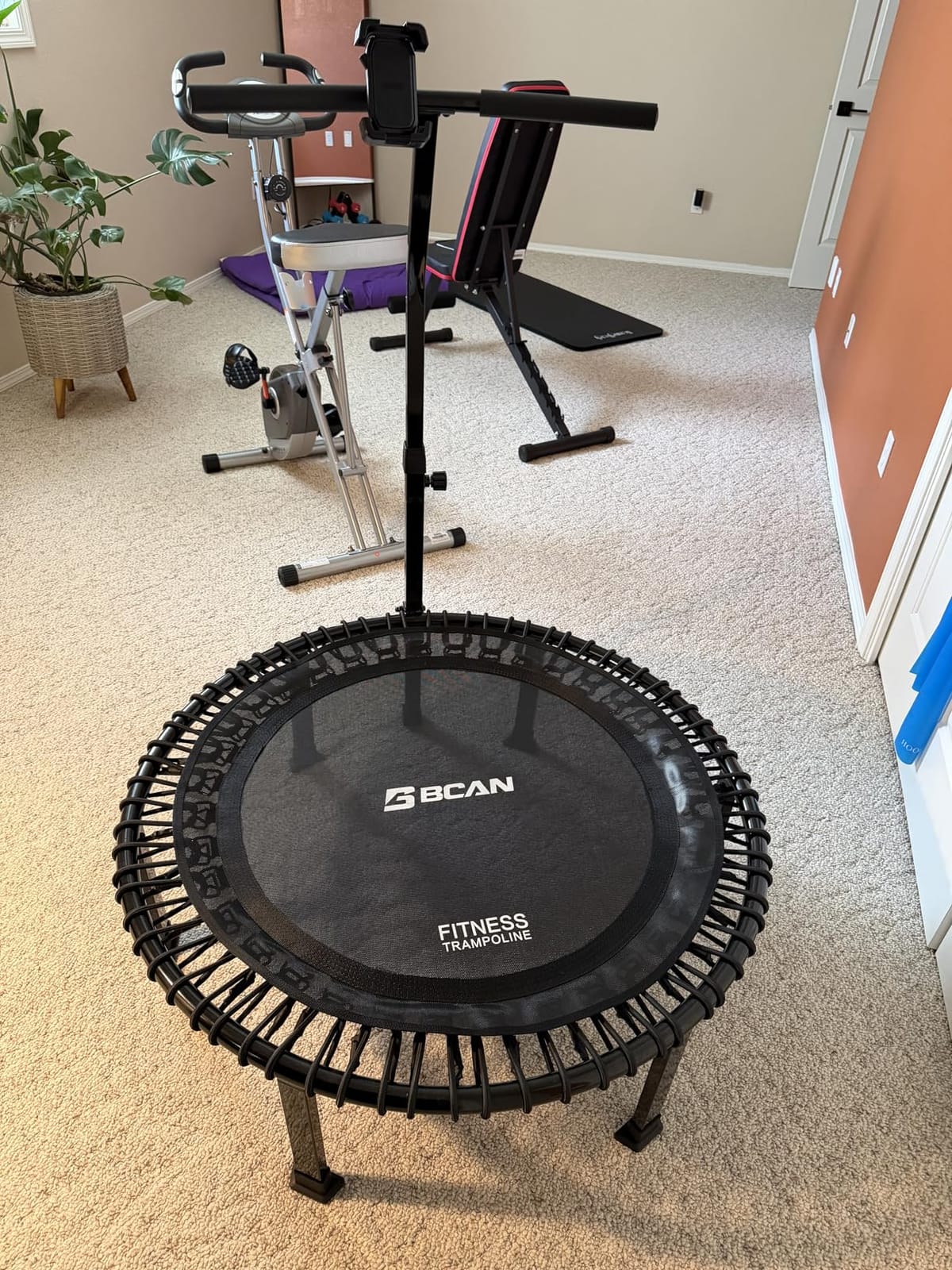 BCAN BT4 Soft Land Pro Adult Bungee Rebounder Trampoline Handle|FED Fitness | 38/40/48 in, 500 lb Capacity, Adjustable Tension Bungees, One-Piece Frame, Quiet Low-Impact Workout, Phone Holder & 2 Socks customer photo 1