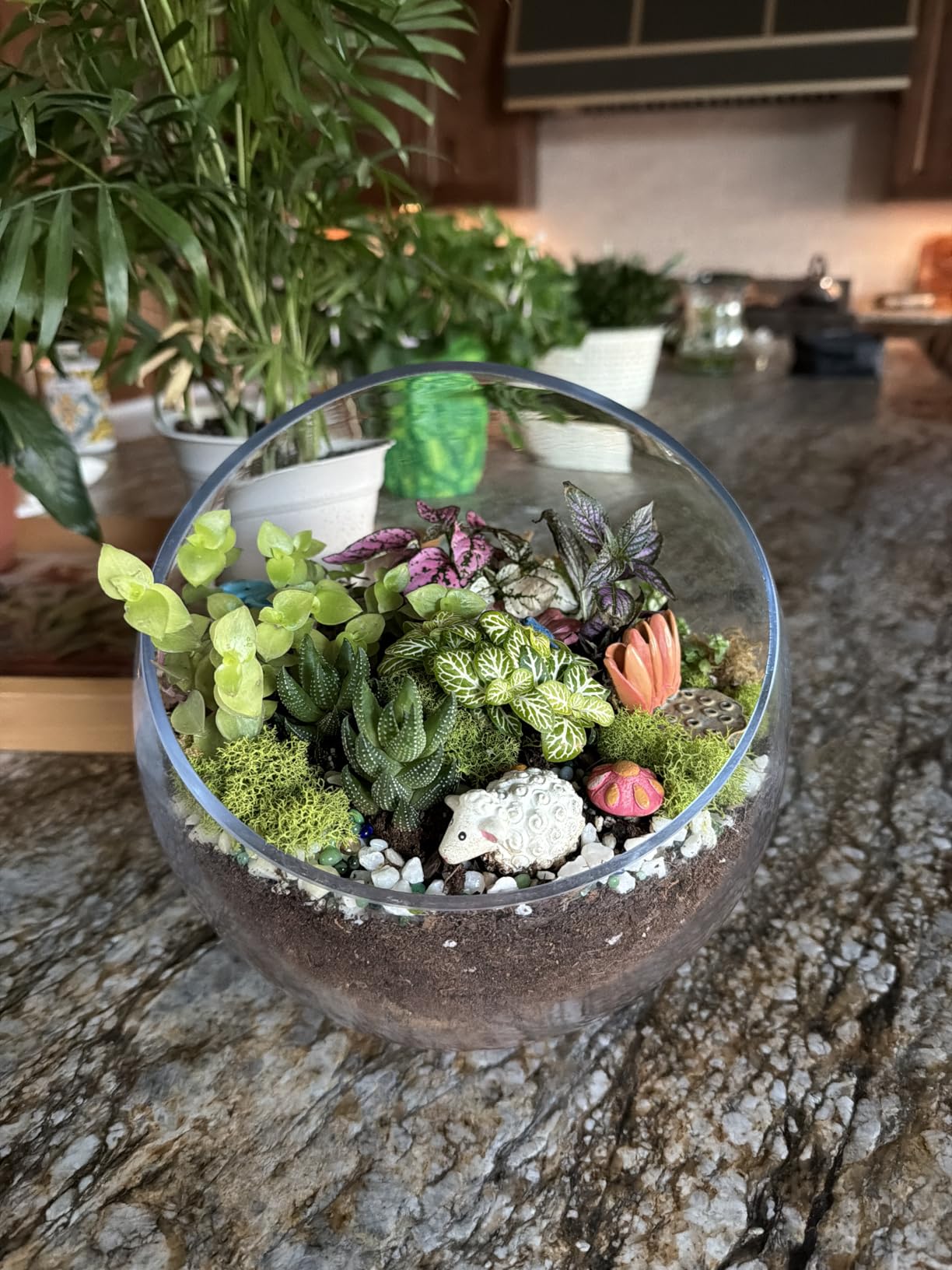 Alphatool Terrarium Kit Decor Gifts for Women Adults Starter | Terrarium Accessories, Includes Pumice, Moss, Soil, Pebbles, Charcoal, 2 Tools, Mushroom Ornaments for Succulent Cactus customer photo 2