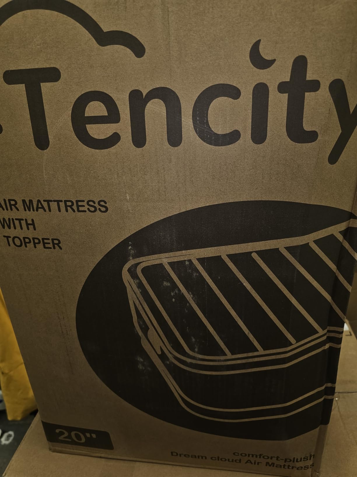 Tencity Queen Air Mattress with Built-in Pump, 20