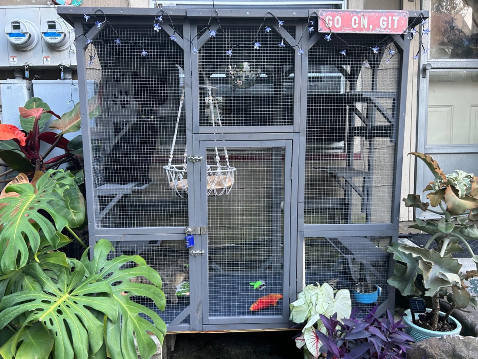 Grepatio Cat Enclosure Large Outdoor Catio Wooden Cat House with Weatherproof, Cat Cage Condo Indoor Playpen with Platform and Small House (Natural) customer photo 1