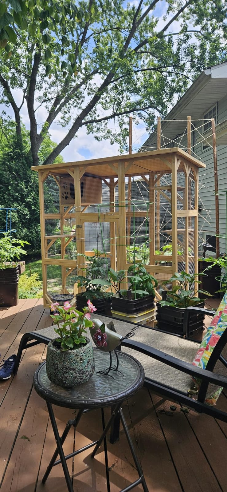 Grepatio Cat Enclosure Large Outdoor Catio Wooden Cat House with Weatherproof, Cat Cage Condo Indoor Playpen with Platform and Small House (Natural) customer photo 2