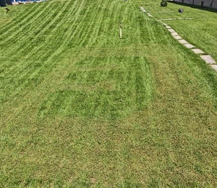Sunseeker X5 AWD Robot Lawn Mower, RTK, Vision AI, 0.5 Acre, Wire-Free | Dependable AWD mowing for homeowners with medium to large everyday yards, slopes and uneven ground. customer photo 2