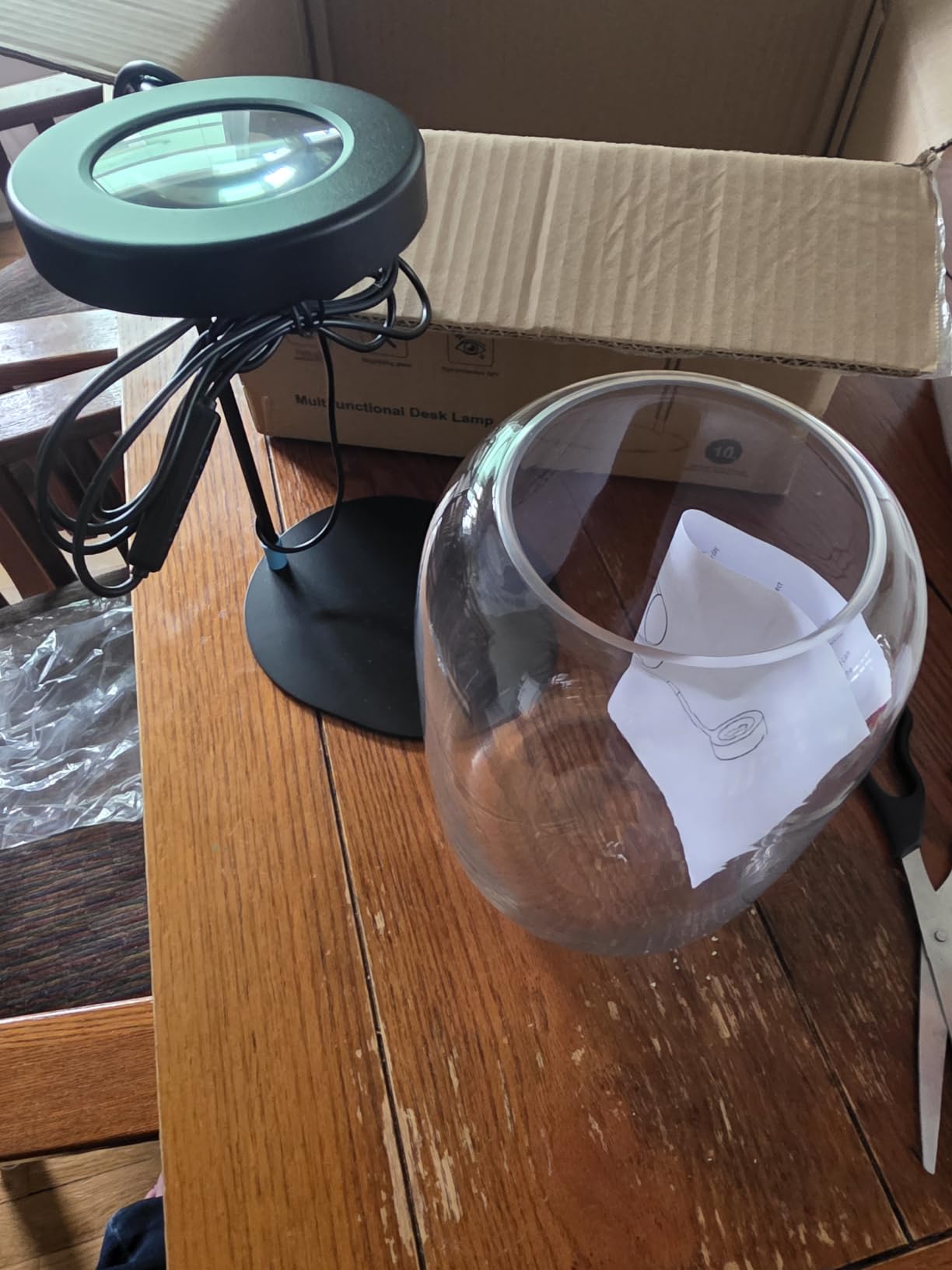 Glass Plant Terrarium with LED Grow Light for Home Office | 8.46