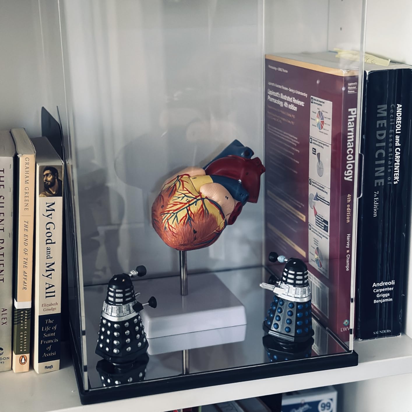 Clear Acrylic Display Case with Mirror Base - 17.7