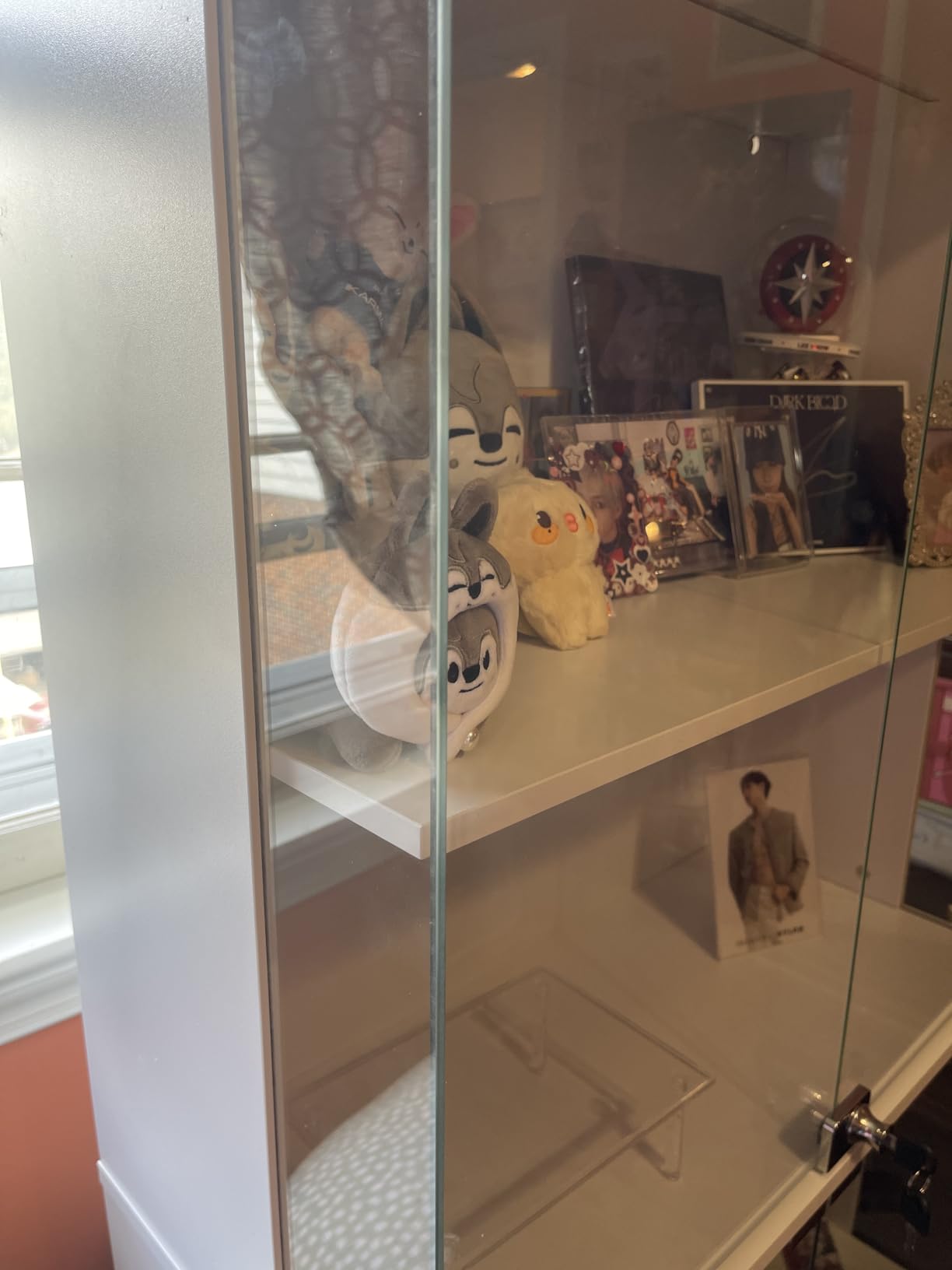 Dystler Glass Display Cabinet with Doors and RGB LED Lights | 69