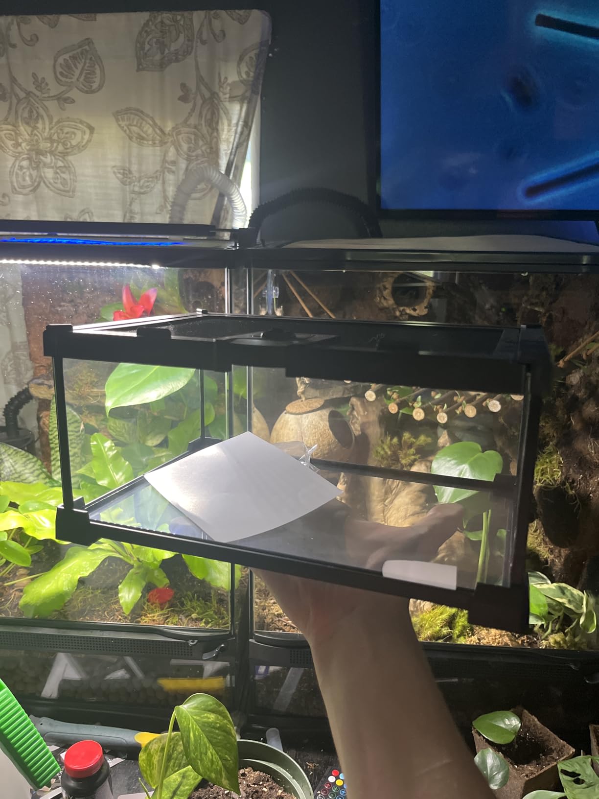 2.5 Gallon Fully Assembled Glass Reptile Enclosure, 12