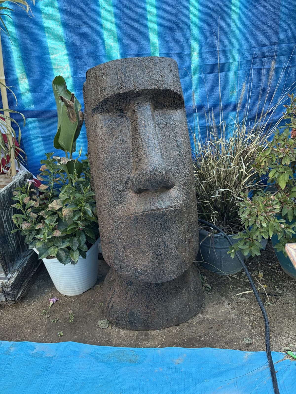 Lion Statue for Garden - Outdoor Sculpture Decoration - 22.8