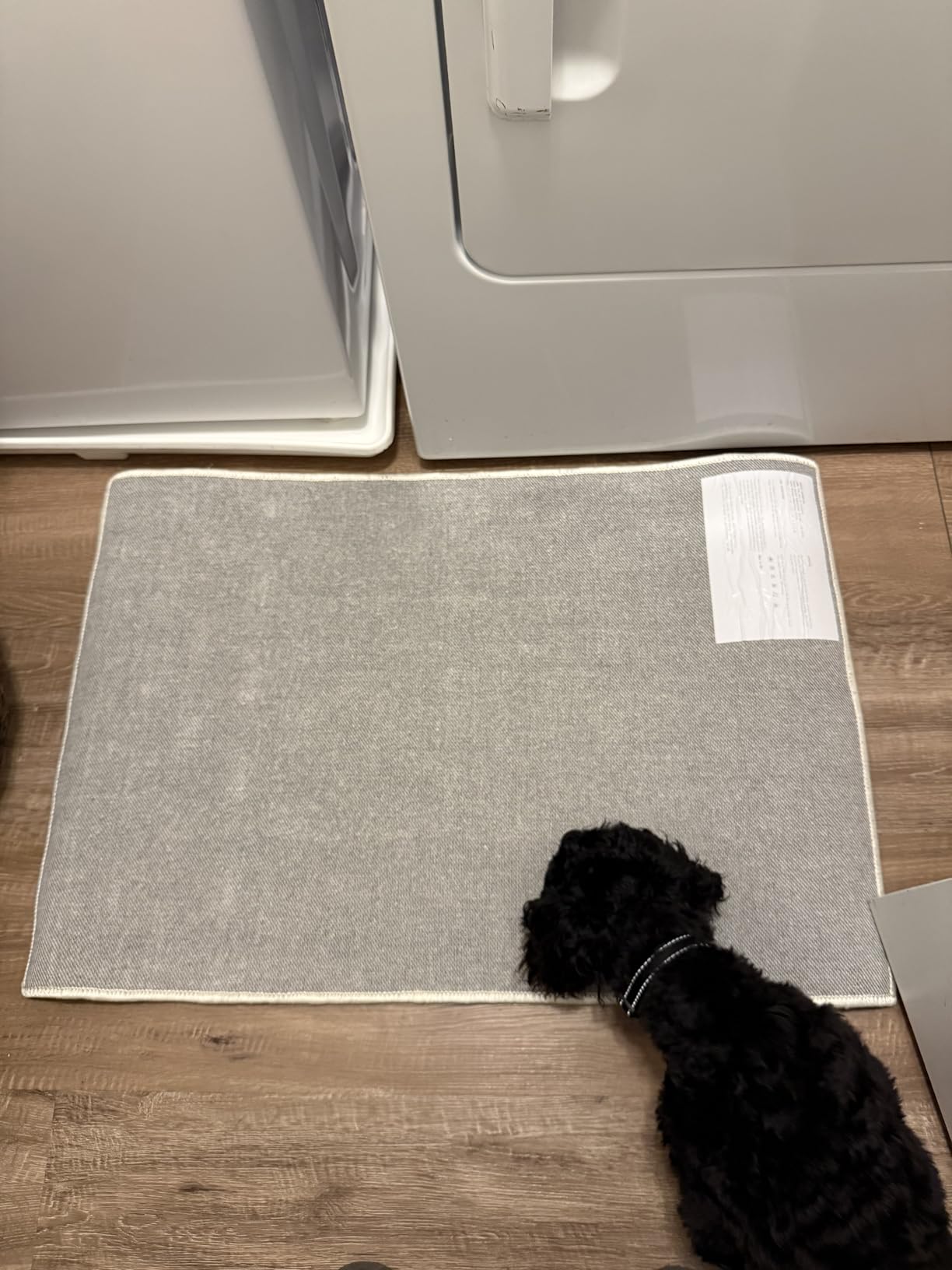 ANSSO Wool Rugs 8x10 for Living Room, 80% Merino Wool and 20% Cotton Soft Tufted Area Rug with Cotton Non-Slip Backing, Large Area Rug for Bedroom, Dining and Home Office (Beige Cream) customer photo 1