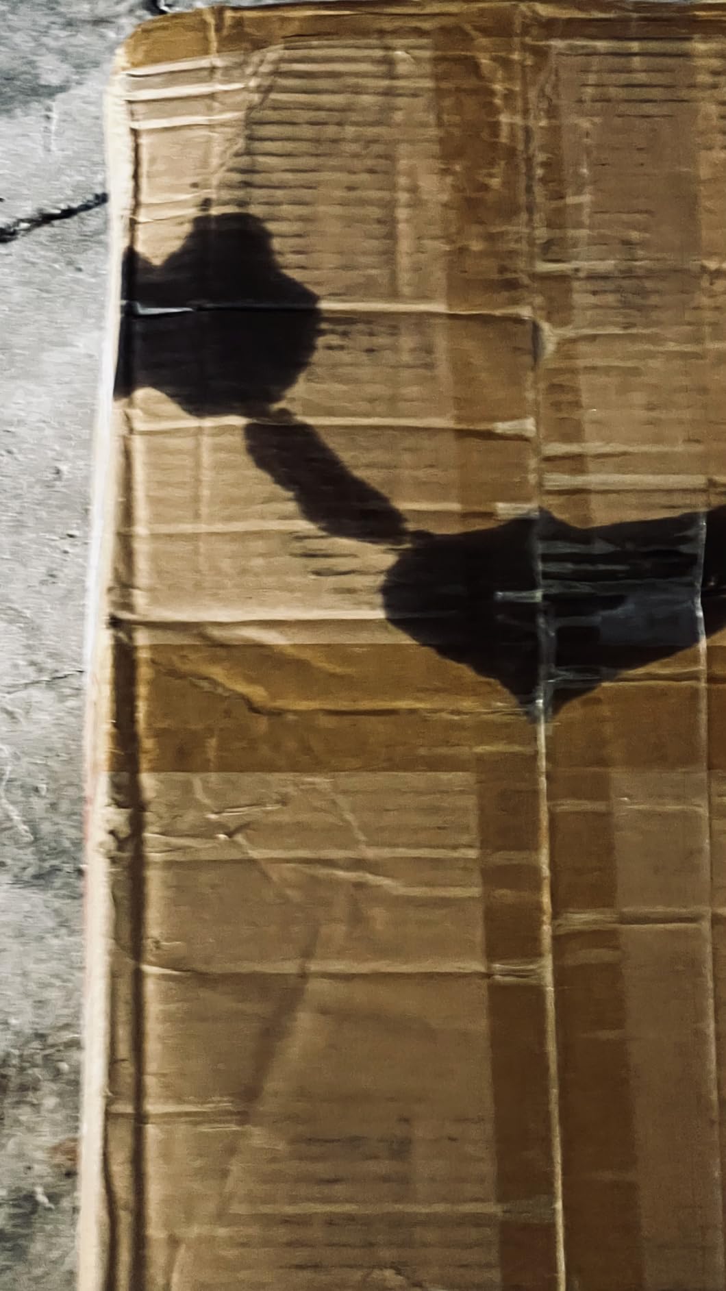 3 Gallon 100% Solids Industrial Epoxy Floor Coating Kit - Self-Leveling, Highly Durable Clear Resin Paint | Ideal for Counter Tops, Garages, Basements, Warehouses, Concrete Floors & Wall Repair-Grey customer photo 2