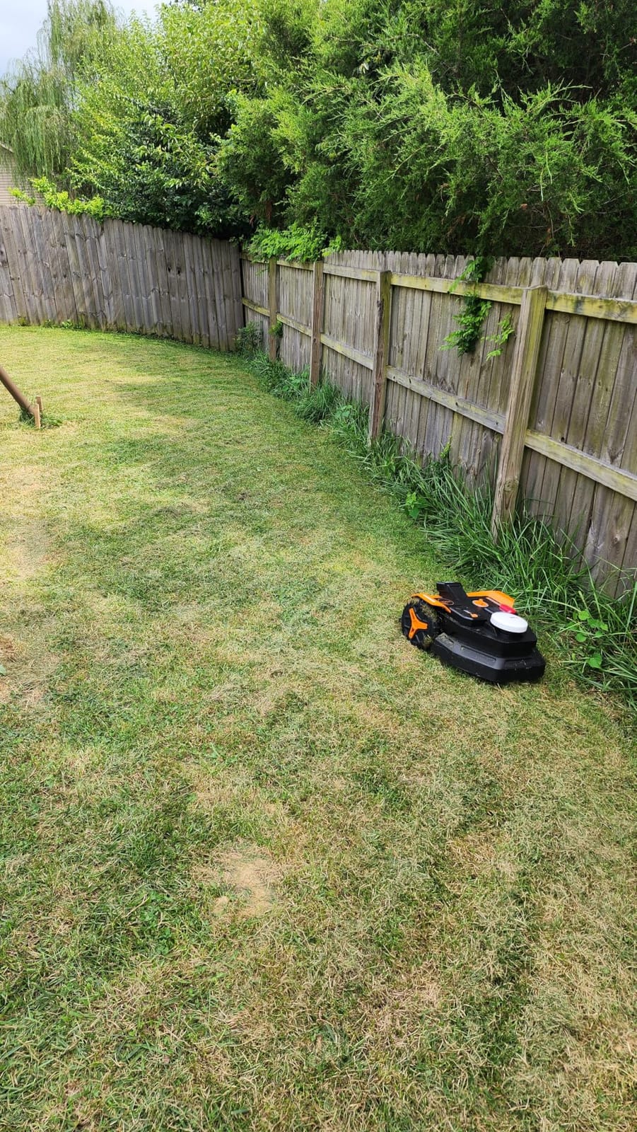 WORX Landroid Vision Cloud Robotic Lawn Mower, Wire-Free with Brushes | App Control, Covers Up to 1/4 Acre, AI Obstacle Avoidance, RTK Cloud Navigation, Handles 30% Slope customer photo 2