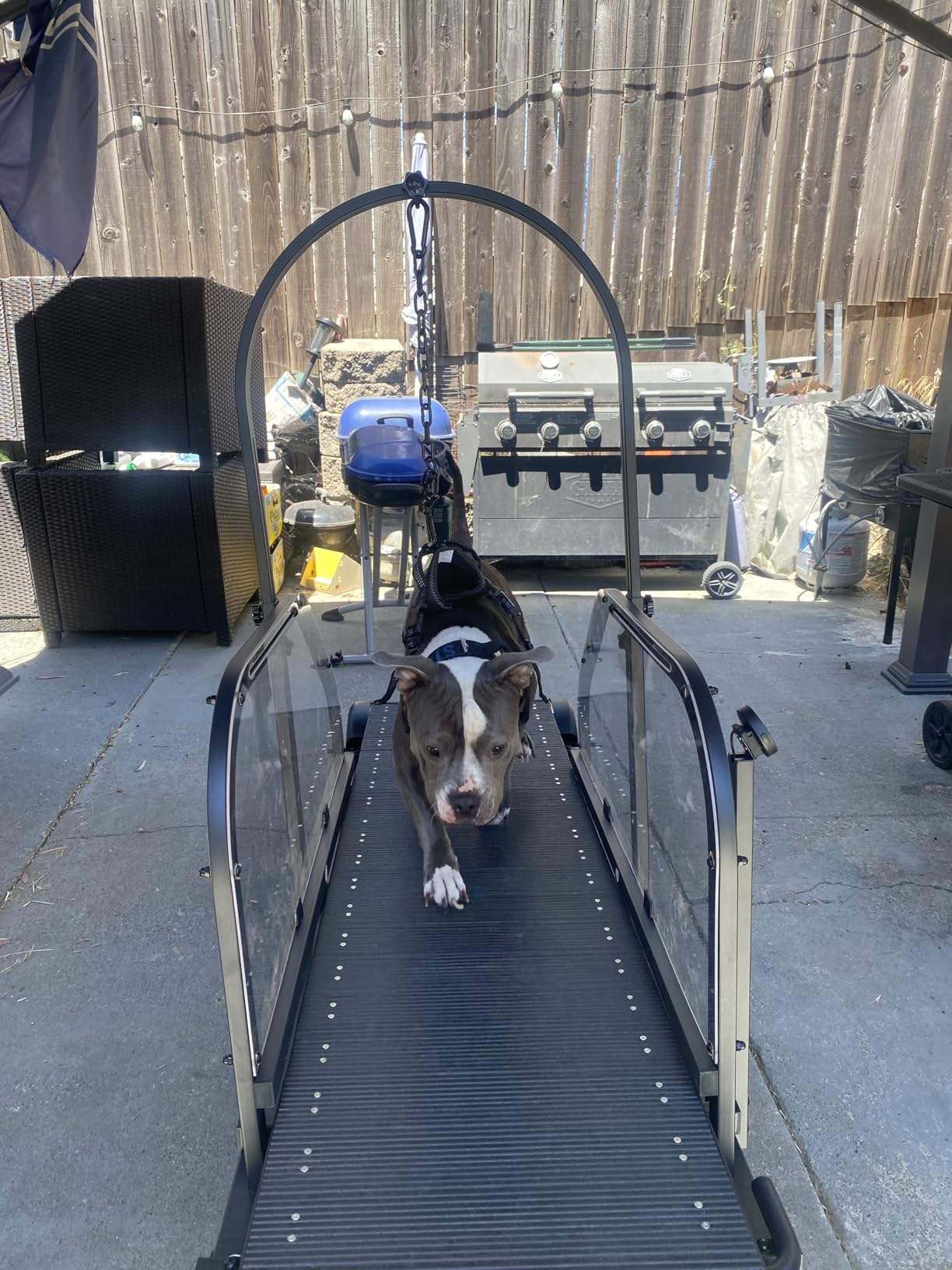 Non-Motorized Dog Treadmill for Large Dogs with Brake | Self-Powered with Pedometer, Wide Running Slatmill, 5-Level Incline, Dog Slatmill for Indoor Exercise customer photo 1