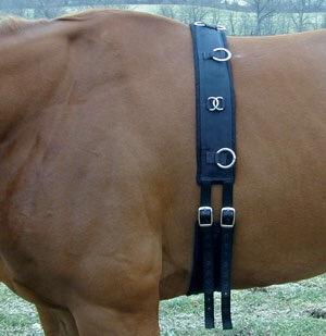 Performers 1st Choice Pro Nylon Training Surcingle - Horse 64.5