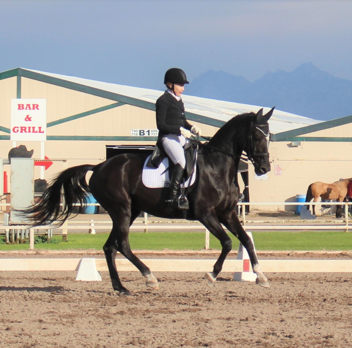 Ovation Perforated Silicon Anti-slip Half White Saddle Pad customer photo 1