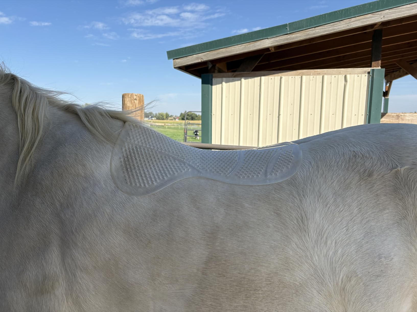 Ovation Perforated Silicon Anti-slip Half White Saddle Pad customer photo 2