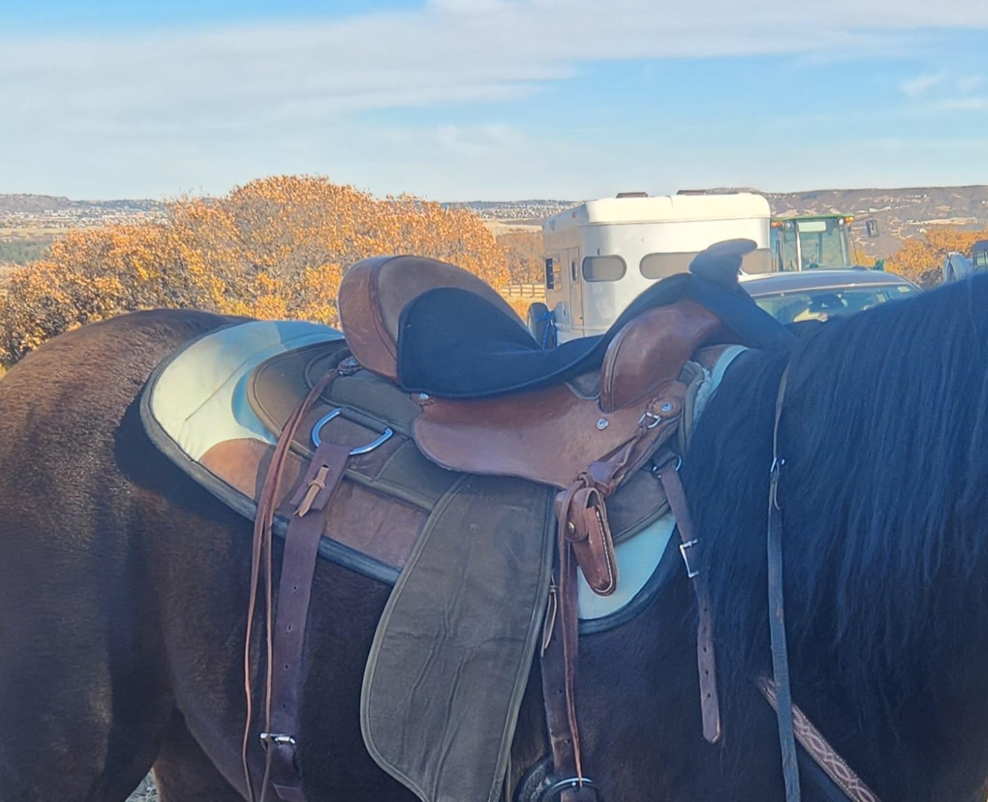 Weaver Equine Western Horse Saddle Pad, Mesh, Shock Absorbing Gel Saddle Pad Seat for Stable Riding and Spine Protection, Durable Equine Supplies customer photo 1