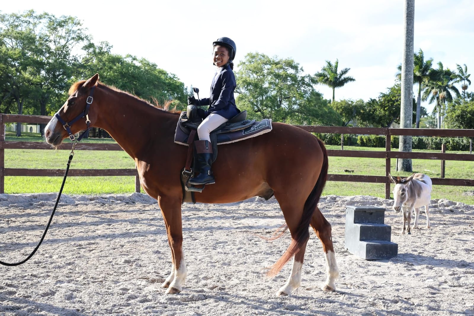 OVATION Adult Deluxe Schooler Riding Helmet - Lightweight Breathable Adjustable Equestrian Safety Helmet w/Removable Liner customer photo 2