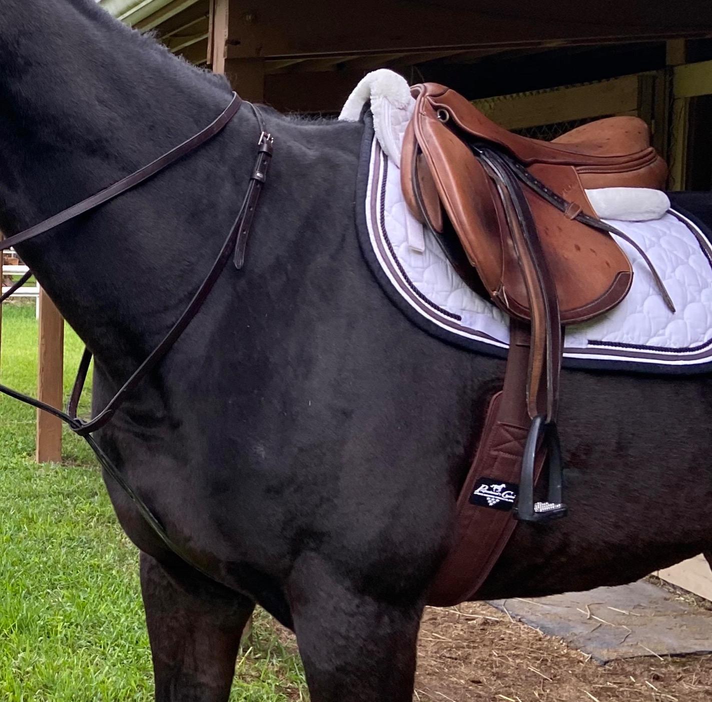 PROFESSIONAL'S CHOICE VenTech English Ventilated Horse Girth customer photo 1