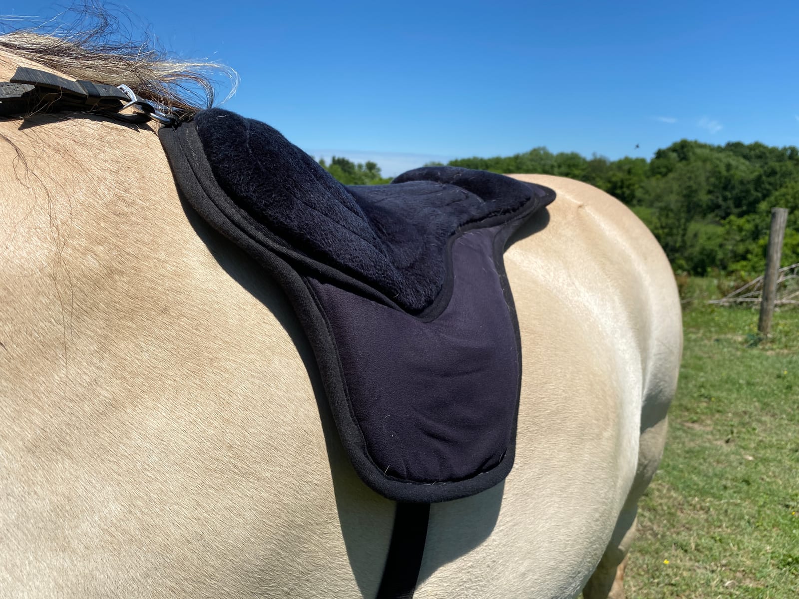 Intrepid International Comfort Plus Western Bareback Saddle, Anti-Slip Horse Saddle Pad, Bareback Pad w/Girth, Trail & Leisurely Riding, Horse Saddle Pads customer photo 2
