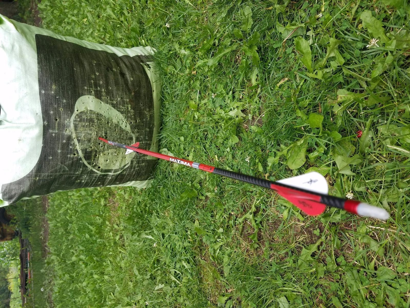 Carbon Express Maxima RED Fletched Carbon Arrows with Dynamic Spine Control and Blazer Vanes, 6-Pack, Available in 250(.400 Spine) & 350(.350 Spine) customer photo 1