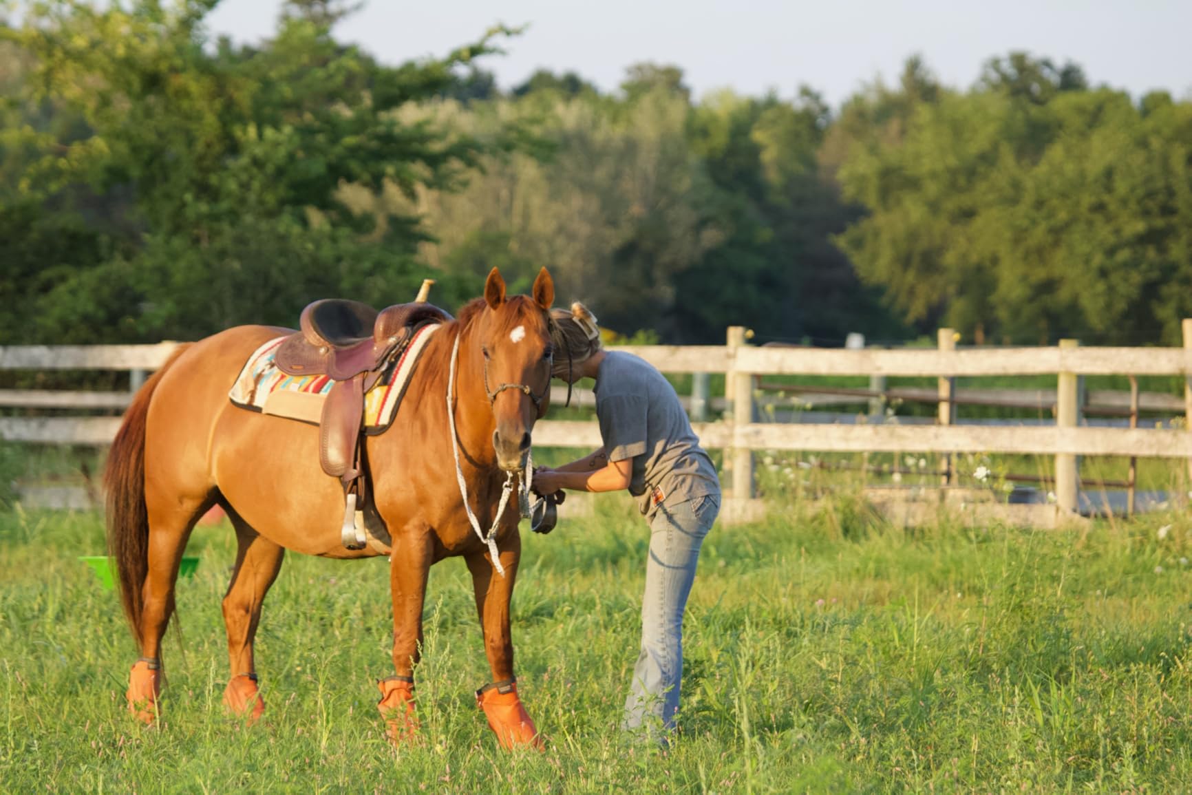 Back on Track Western Saddle Pad Liner customer photo 2