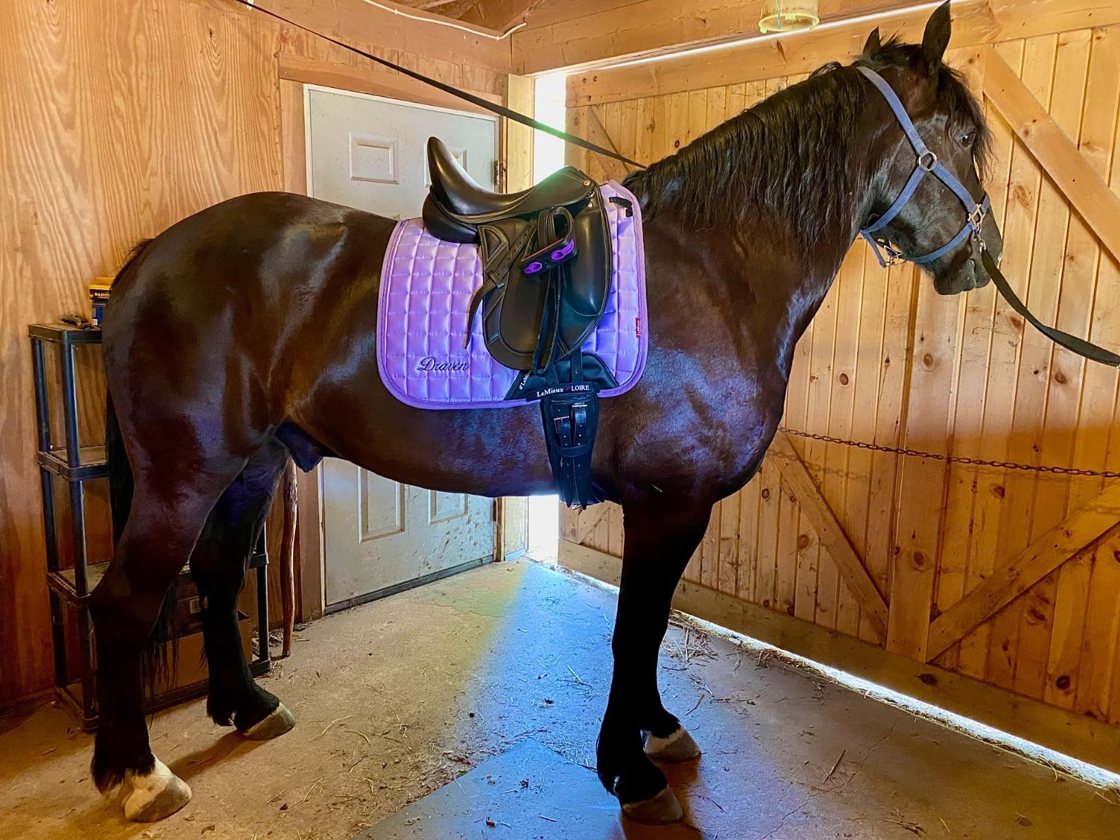 Shires COMPOSITI Premium Profile Stirrups customer photo 2