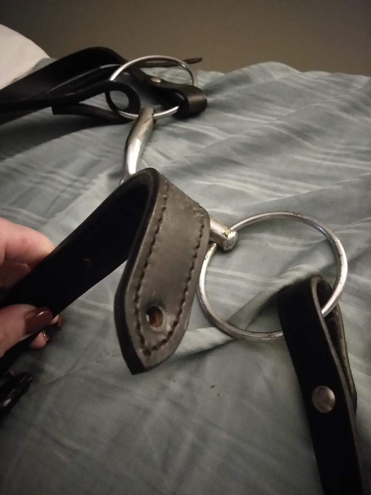 Tough 1 Western Leather Browband Draft Bridle customer photo 1